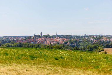Almanya 'nın Rottweil şehrinin panoraması. Ön planda yeşil çimenlik bir alan var. Arkasında açık mavi bir gökyüzü var.