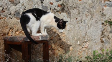 Açık hava taşı. Yüksek kalite fotoğraf