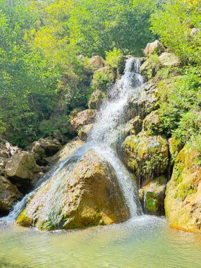 Şelale şelalesi, berrak su, kayalık taban, yeşil ağaçlar, berrak gökyüzü. Yüksek kalite fotoğraf