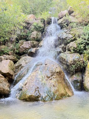 Şelale şelalesi, berrak su, kayalık taban, yeşil ağaçlar, berrak gökyüzü. Yüksek kalite fotoğraf