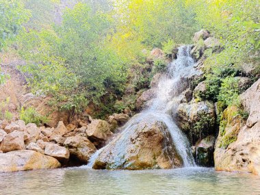 Şelale şelalesi, berrak su, kayalık taban, yeşil ağaçlar, berrak gökyüzü. Yüksek kalite fotoğraf