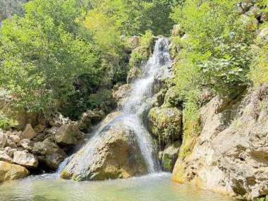 Şelale şelalesi, berrak su, kayalık taban, yeşil ağaçlar, berrak gökyüzü. Yüksek kalite fotoğraf