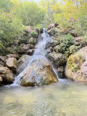 Şelale şelalesi, berrak su, kayalık taban, yeşil ağaçlar, berrak gökyüzü. Yüksek kalite fotoğraf