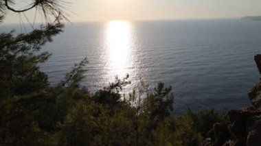 Deniz kıyısındaki kozalaklı orman, sakin günbatımı. Yüksek kalite 4k görüntü