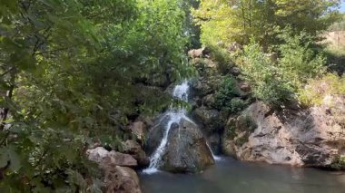 Şelale şelalesi, berrak su, kayalık taban, yeşil ağaçlar, berrak gökyüzü. Yüksek kalite fotoğraf