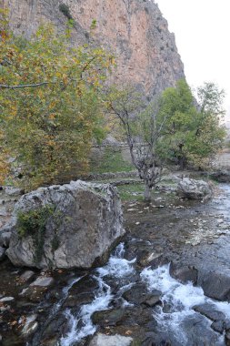 Şelale kayalık arazisi. Altın sonbahar. Yüksek kalite 4k görüntü