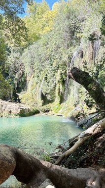 Şelale ahşap köprüsü. Yüksek kalite fotoğraf
