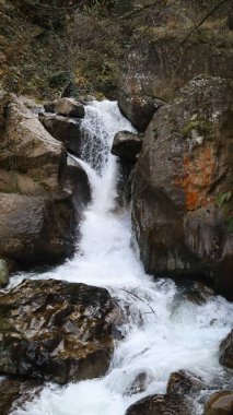 Şelale kayalık arazisi. Altın sonbahar. Şelale Sonbaharı. Yüksek kalite 4k görüntü