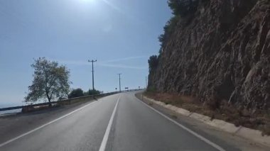Güneşli yol ağaçları. Dağ yolu ağaçları. Yüksek kalite FullHD görüntüleri.