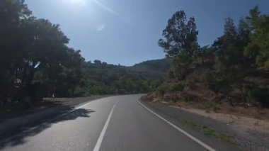 Güneşli yol ağaçları. Dağ yolu ağaçları. Yüksek kalite FullHD görüntüleri.