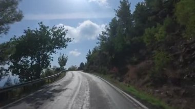 Güneşli yol ağaçları. Dağ yolu ağaçları. Yüksek kalite FullHD görüntüleri.