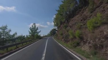 Güneşli yol ağaçları. Dağ yolu ağaçları. Yüksek kalite FullHD görüntüleri.