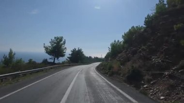 Güneşli yol ağaçları. Dağ yolu ağaçları. Yüksek kalite FullHD görüntüleri.