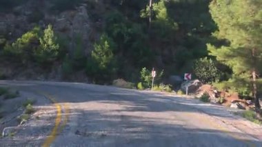 Güneşli yol ağaçları. Dağ yolu ağaçları. Yüksek kalite FullHD görüntüleri.