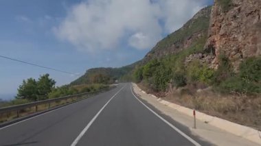 Güneşli yol ağaçları. Dağ yolu ağaçları. Yüksek kalite FullHD görüntüleri.