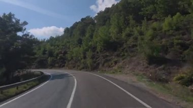 Güneşli yol ağaçları. Dağ yolu ağaçları. Yüksek kalite FullHD görüntüleri.