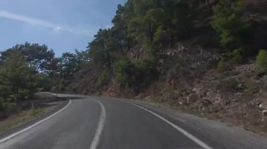 Güneşli yol ağaçları. Dağ yolu ağaçları. Yüksek kalite FullHD görüntüleri.