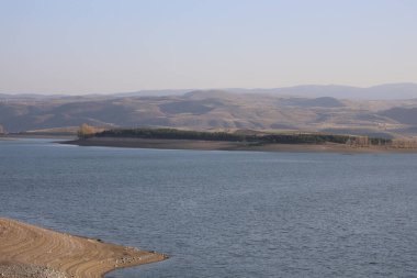 Nehir ağaçları bükülür. Yüksek kalite fotoğraf