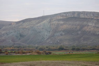Tepedeki çimen tarlası. Nallihan Kuş Sığınağı, eşsiz doğal bir yer, çöl tepeleri. Yüksek kalite fotoğraf