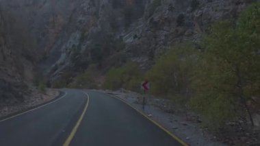 Güneşli yol ağaçları. Dağ yolu ağaçları. Yüksek kalite FullHD görüntüleri.