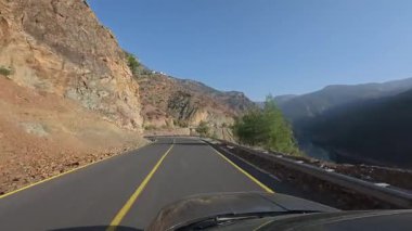 Güneşli yol ağaçları. Dağ yolu ağaçları. Yüksek kalite FullHD görüntüleri.