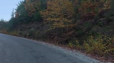 Yol kenarındaki kayalık kayalıklar. Dağ manzarası. Yüksek kalite fotoğraf