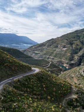 Dağ yolu ormanı. Kozalaklı ağaçlar ve sarı yapraklar. Yüksek kalite 4k görüntü