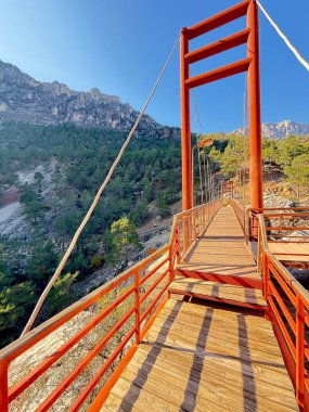 Dağ nehri üzerinde kırmızı metal bir köprü. Yüksek kalite fotoğraf