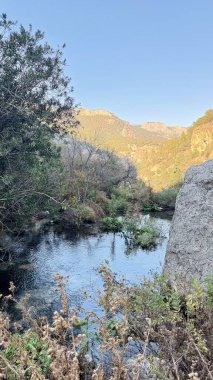 Dağ yolu, güneş ışığı, yemyeşil. Hoş manzara. Yüksek kalite fotoğraf.