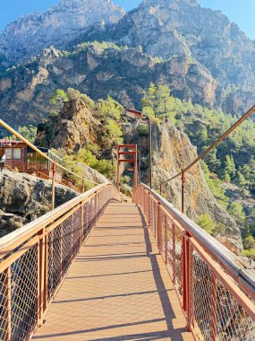 Dağ nehri üzerinde kırmızı metal bir köprü. Yüksek kalite fotoğraf