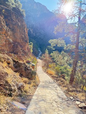 Dağ yolu, güneş ışığı, yemyeşil. Hoş manzara. Yüksek kalite fotoğraf.
