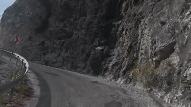 Dağ yolu ormanı. Kozalaklı ağaçlar ve sarı yapraklar. Yüksek kalite 4k görüntü