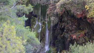Şelale yemyeşil. Hoş manzara. Yüksek kalite fotoğraf.