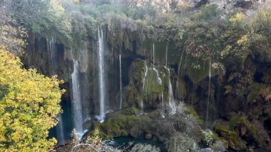 Şelale yemyeşil. Hoş manzara. Yüksek kalite fotoğraf.
