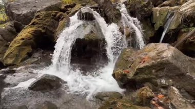 Şelale yosunlu kayalar. Şelale kayalık arazisi. Yüksek kalite 4k görüntü