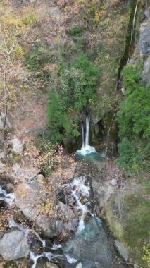 Şelale Şelalesi, Şelale Ormanı kayaları. Şelale kayalık manzarası. Sonbahar şelalesi. Yüksek kalite 4k görüntü