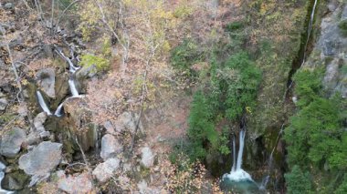 Şelale Şelalesi, Şelale Ormanı kayaları. Şelale kayalık manzarası. Sonbahar şelalesi. Yüksek kalite 4k görüntü