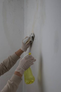 Duvar boyası soymak. Eldivenli bir el, duvardaki eski boyayı temizler. Yüksek kalite 4K görüntü.