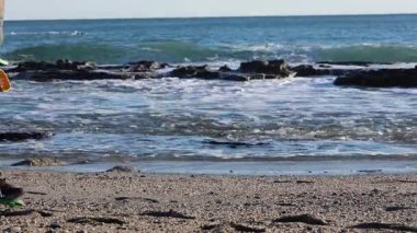 Plaj metali detektörü. Doğada bir metal dedektörü, soğuk mevsimde deniz manzarası. Yüksek kalite fotoğraf