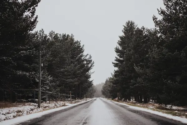 Lege winter weg op platteland — Stockfoto