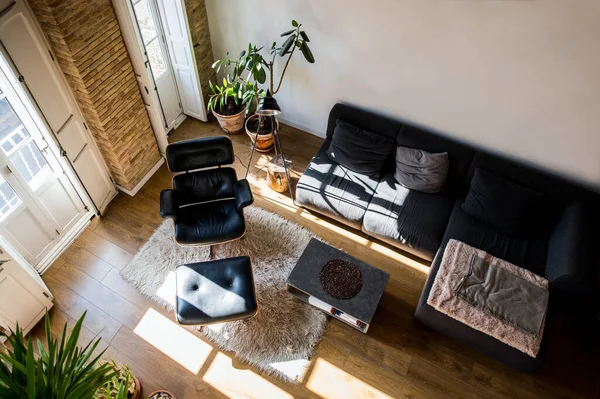 Desde Arriba Interior Sala Estar Con Plantas Maceta Verde Cómodo — Foto de Stock