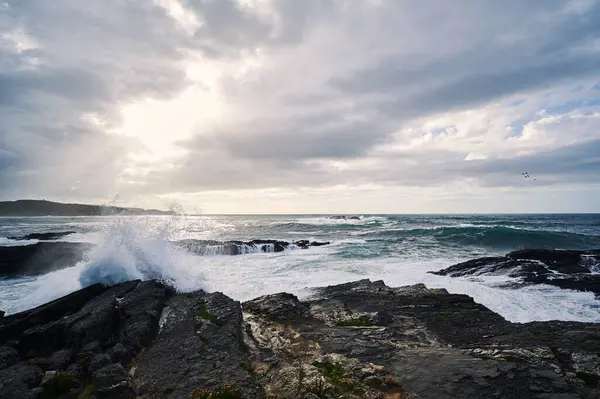Picturesque Scenery Rocky Steep Coastline Covered Grass Washing Splashing Waves — Stock Photo, Image