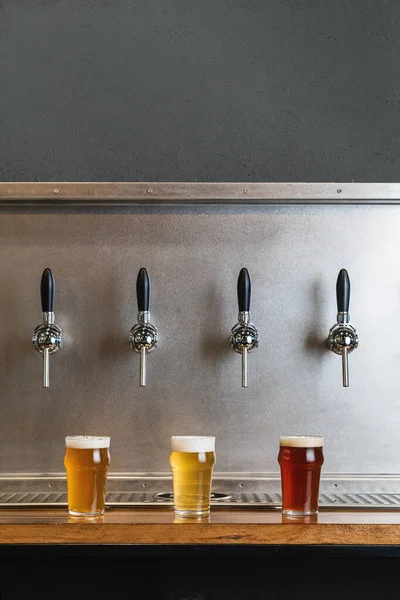 Différents Types Bière Avec Mousse Dans Des Cruches Verre Contre — Photo