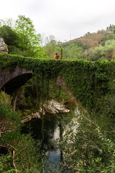 Anonymous Explorer Walking Stone Bridge Covered Green Plants Highlands Cloudy — Stock Photo, Image