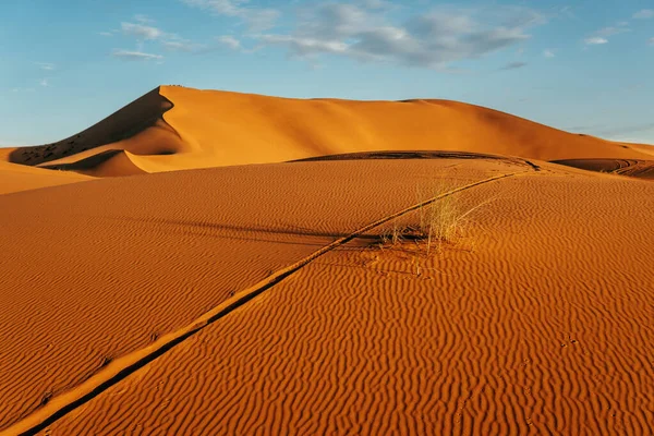 Desde Arriba Colorido Desierto Vacío Con Grandes Dunas Bajo Cielo — Foto de Stock