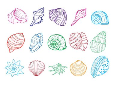 Sanatsal Renkli Deniz Kabuğu Karalamaları