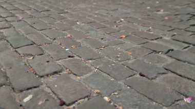 Çiçek yaprakları ile ayarları