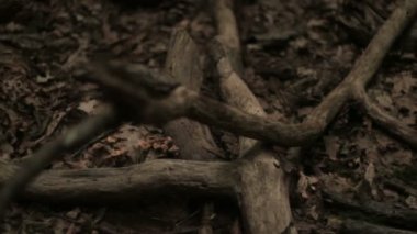 Yerde yatan sopa bardak eğik Dolly