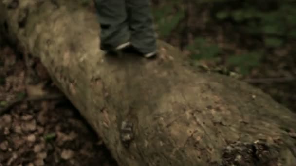 MARCHE DE L'ENFANT SUR LE LOG — Video