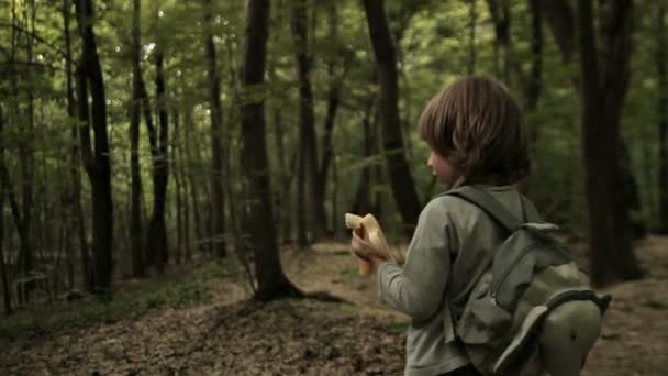 Junge spaziert durch den Wald — Stockvideo